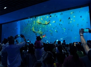 Grote Project Custom Acryl Aquarium/Clear Grote Vis Tank - Product Image 4