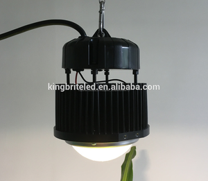 300 vatios Citizen COB LED crece la luz - Product Image 5