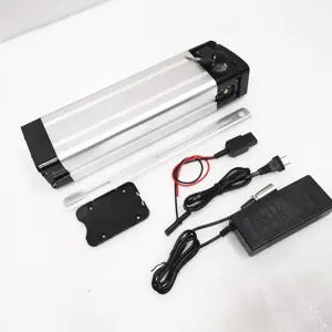 sliver fish case lithium ion ebike battery 48V 13Ah for electric bicycle with 2A charger