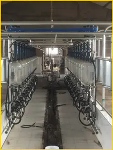 automatic weigh jar herringbone milking parlour for cow + ACR system