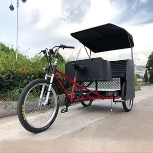 ESTER Arka Motor 500 W Güçlü Pedicab/Çekçek, elektrikli 3 tekerlekli taksi