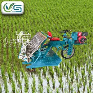 Machine de plantation de paddy de riz de promotion d'usine de prix bas/transplanteur de riz 6 rangées/planteur de graines de riz