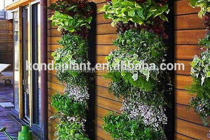 Enredadera artificial para planta de plástico de pared pared verde - Product Image 5