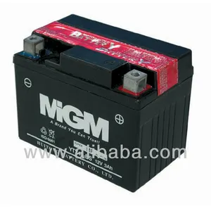 Motorcycle battery