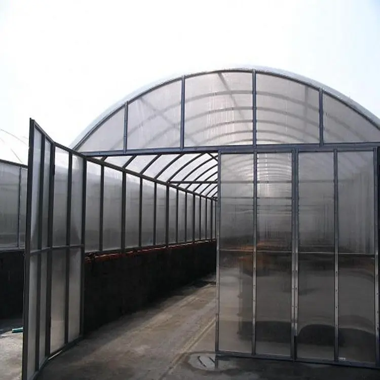 Isolamento térmico de design de cliente transparente, estufa de policarbonato oco agricultura