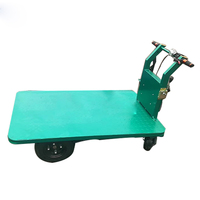 Carrito Pequeño para Invernadero/Carrito Eléctrico para Invernadero de Verduras con Empuje Manual