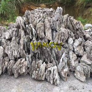 Décoration d'aquarium, pierre de dragon Azure <span class=keywords><strong>Seiryu</strong></span> de haute qualité - Product Image 2