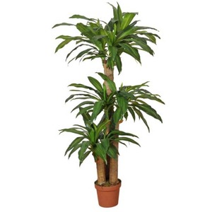 Fábrica hecho falso verde pequeño árbol artficial olla de Terre cuite de Vietnam Ficus microcarpa - Product Image 6