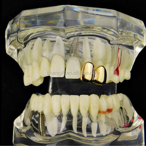 Rejilla Dental <span class=keywords><strong>de</strong></span> Dos <span class=keywords><strong>Dientes</strong></span> Chapada en <span class=keywords><strong>Oro</strong></span> <span class=keywords><strong>de</strong></span> 14K Estilo Hip Hop Blues RTS con Kit <span class=keywords><strong>de</strong></span> Molde <span class=keywords><strong>de</strong></span> Silicona TG153 - Product Image 3