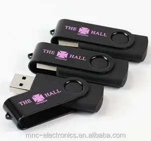 Cadeau promotionnel à bas prix PayPal matière plastique colorée acceptable twister OEM logo de marque 2 go usb disque de mémoire flash sur la clé