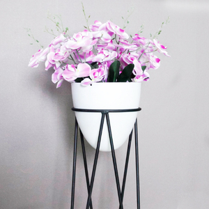 Architettura <span class=keywords><strong>Da</strong></span> Giardino <span class=keywords><strong>in</strong></span> <span class=keywords><strong>Ferro</strong></span> <span class=keywords><strong>battuto</strong></span> <span class=keywords><strong>Parete</strong></span> Fioriere Vaso di Fiori Titolari
