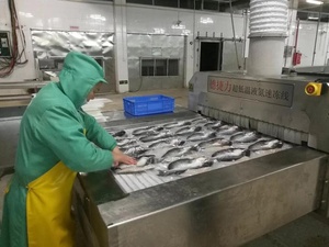 DJL Chất Lượng Cao Hải Sản Iqf Máy/Tủ Đông Công Nghiệp Đông Lạnh Tủ Đông Tunneling Thiết Bị Nhanh Freeze Máy - Product Image 3