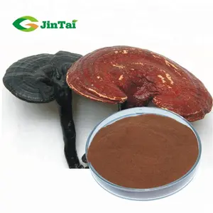 Ganoderma lucidum extract reishi extract powder reishi mushroom powder