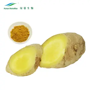China Manufacturer Ginger Root Extract Gingerol 1%5%10%, Ginger Root Powder