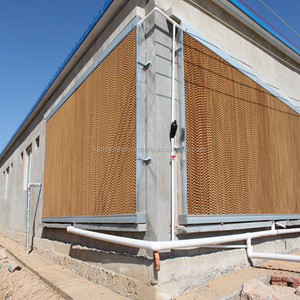 2025 Hot Sell New Goldenest Factory Design Automatic <strong>Chicken</strong> Rearing Equipment/Poultry Control Shed 1000 Shandong <strong>Origin</strong> - Product Image 5