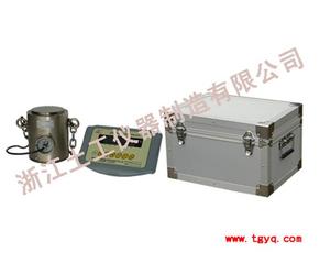 Dinamómetro de Célula De Carga estándar (Para la calibración) - Product Image 1