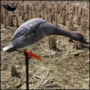 DGXILEI OUTDOOR HUNT DUCK HUNTING ELECTRONIC DECOY 6V SPINNING-WINGS GADWALL DUCK MOTOR DECOY with REMOTE