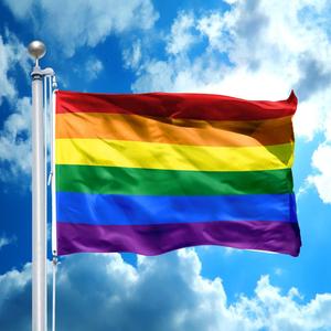 免费送货批发聚酯 3x5ft 同性恋骄傲 lgbt 彩虹旗