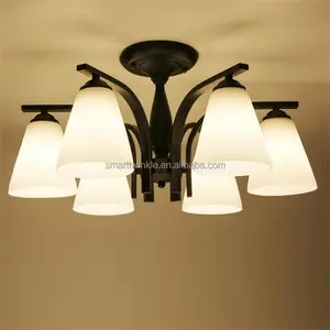 Traditionele Verlichting Groothandel Moderne Kunst Hanglamp Mode Serie Zwart Droplight