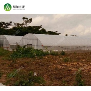 ไบเออร์100% อุโมงค์การเกษตรขนาดใหญ่ทำจากวัสดุ PE เรือนกระจกช่วงเดียวเสริม - Product Image 4