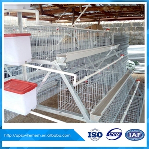 Dar es salaam tanzania <span class=keywords><strong>granja</strong></span> avícola mejor venta de pollo jaula - Product Image 5