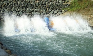 Pagaie de pêche professionnelle, 8 hélice, haute qualité, 3HP, livraison gratuite - Product Image 3