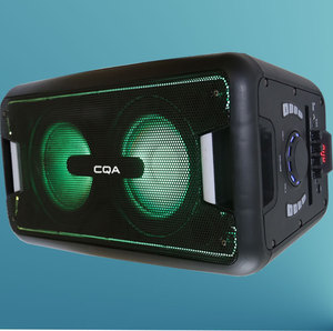 Altoparlante bluetooth professionale da 8 pollici con carrello per batteria Blue_tooh con altoparlante attivo in plastica con un microfono - Product Image 6