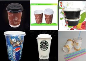 Máquina Automática para Hacer Vasos de Papel PFS-12 - Product Image 6