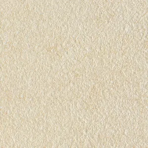 gres rustic ceramic tile white/gres monococcion tile