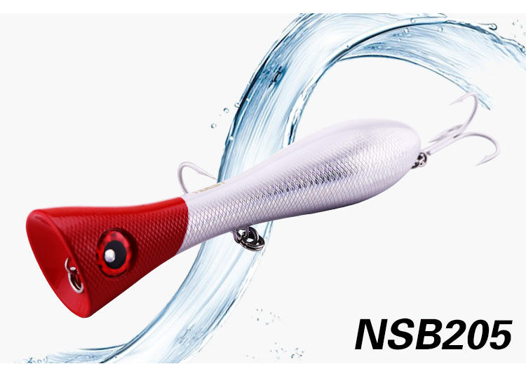 NSB205