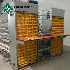 Automatic egg collection system for large scale layer poultry farm