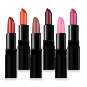 Benutzer definiert Ihre Marke Make-up Lippenstift Matte Kräuter lippe Verwenden Sie Kosmetik