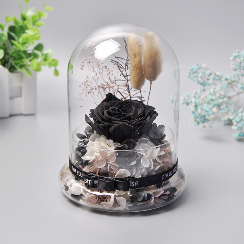 Factory Home Decor Customized Terrarium Clear Bell Jars Glass Domes China Borosilicate Glass Customized Packaging Modern