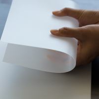 Feuille/panneau/plaque diffuseur en acrylique PMMA PC PS givré opale pour éclairage LED