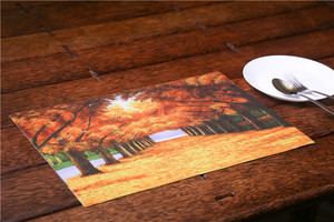 Alemania nuevo estilo absorción de polvo diseño personalizado PVC Placemat - Product Image 2