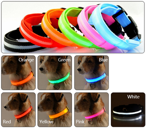 Fábrica al por mayor <span class=keywords><strong>precio</strong></span> barato Luz <span class=keywords><strong>de</strong></span> seguridad Led Collar <span class=keywords><strong>de</strong></span> perro luminoso - Product Image 5