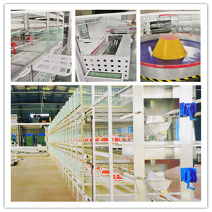 Equipos de granja avícola galvanizado alambre soldado jaulas de <span class=keywords><strong>pollo</strong></span> para la venta en <span class=keywords><strong>el</strong></span> sur de África - Product Image 4