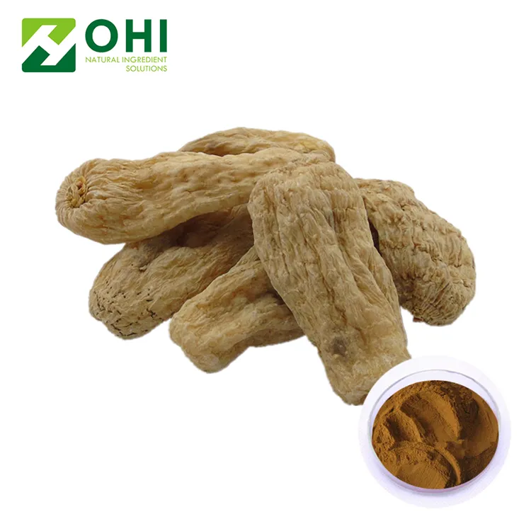 Extrato de raiz gastrodia 98% gastrodin