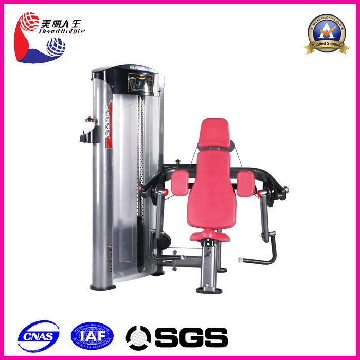 machine à biceps l'équipement d'exercice