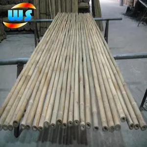 Perche de canne en bambou, pôle Long, pour plantes