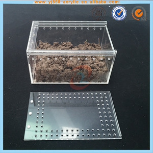 Acryl Schuifdeksel Doos Voor Reptiel Met Air Gaten Plastic Acryl Reptiel Kooi Met Magneet Voor Spider Lizard Gecko - Product Image 4