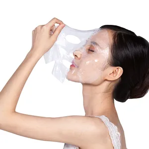 Korea Transparent Repairing Facial Sheet Moisturizing Lace Face Mask