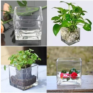 Créatif Décor À La Maison Fleur Vase à Fleurs En Verre Transparent Pot 1L 1.5L Grand Réservoir de Poissons D'<span class=keywords><strong>aquarium</strong></span> - Product Image 6