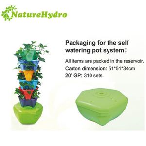 Venta caliente <span class=keywords><strong>Bonsai</strong></span> de <span class=keywords><strong>cultivo</strong></span> hidropónico de plantas - Product Image 3