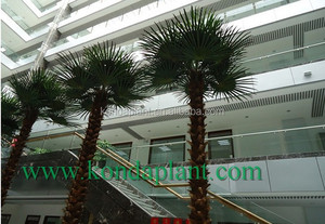Pas cher arbres artificiels, Artificielle big pine arbres, Grands arbres artificiels en plein air - Product Image 6