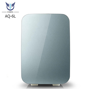 Bán Buôn 6L DC 12 V 12 Volt AC 110V 230V Tủ Lạnh Nhỏ Tùy Chỉnh 6 Lít Khách Sạn Mini Bar Tủ Lạnh Bán - Product Image 4