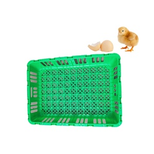 Di plastica Pollame Trasporto di Plastica Gabbia Di Pollo - Product Image 3