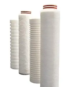 Sterile Filtration Absolute Hydrophobic PTFE cartridge Sterile air filter for vent Filter Replacement