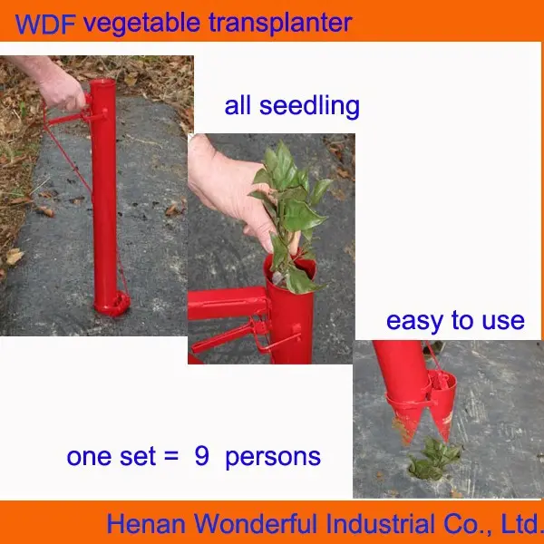 Manual sayuran kubis transplanter perkebunan