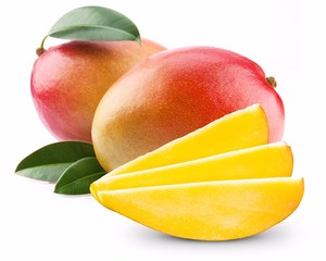 HONGDA comercio al por mayor de extracto de <span class=keywords><strong>semilla</strong></span> de Mango polvo de <span class=keywords><strong>semilla</strong></span> de Mango mangiferina - Product Image 4